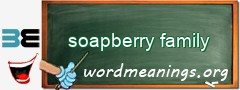 WordMeaning blackboard for soapberry family